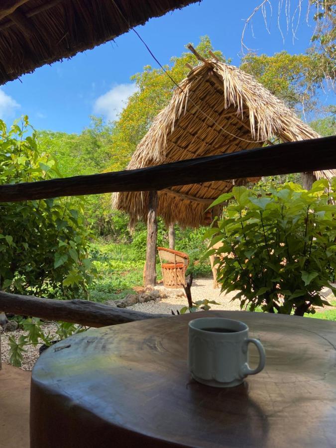 Encantadora Villa Maya Tradicional En Rancho Agroecologico Tzucaceb Exterior foto