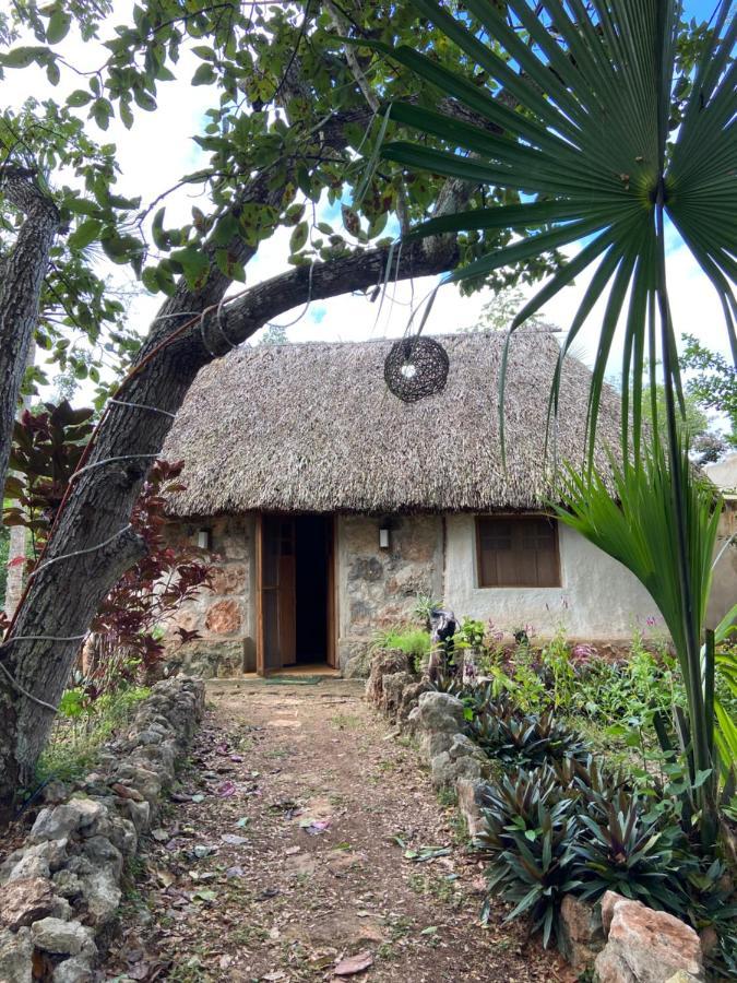 Encantadora Villa Maya Tradicional En Rancho Agroecologico Tzucaceb Exterior foto