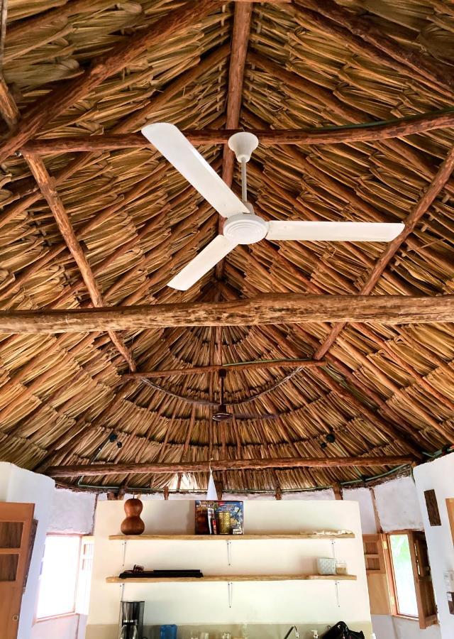 Encantadora Villa Maya Tradicional En Rancho Agroecologico Tzucaceb Exterior foto