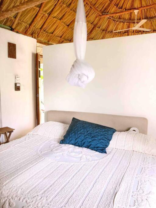 Encantadora Villa Maya Tradicional En Rancho Agroecologico Tzucaceb Exterior foto