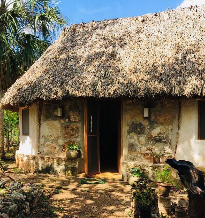 Encantadora Villa Maya Tradicional En Rancho Agroecologico Tzucaceb Exterior foto